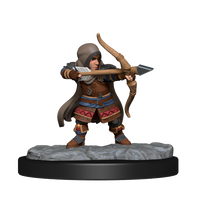 Critical Role: Lotusden Halfling Ranger Male