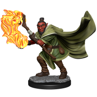 Critical Role: Hobgoblin Wizard and Druid Male