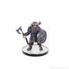 D&D: The Legend of Drizzt 35th Anniversary - Tabletop Companions Boxed Set