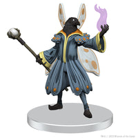 D&D: Icons of the Realms - The Wild Beyond the Witchlight - Witchlight Carnival Premium Set