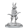 D&D: Nolzur's Marvelous Miniatures - Harengon (Paint Night Kit)