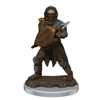 D&D: Icons of the Realms - Male Human Fighter Premium Figure