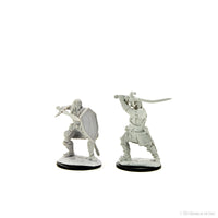 D&D: Nolzur's Marvelous Miniatures - Human Paladin Male