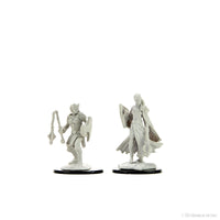 D&D: Nolzur's Marvelous Miniatures - Kalashtar Cleric Female