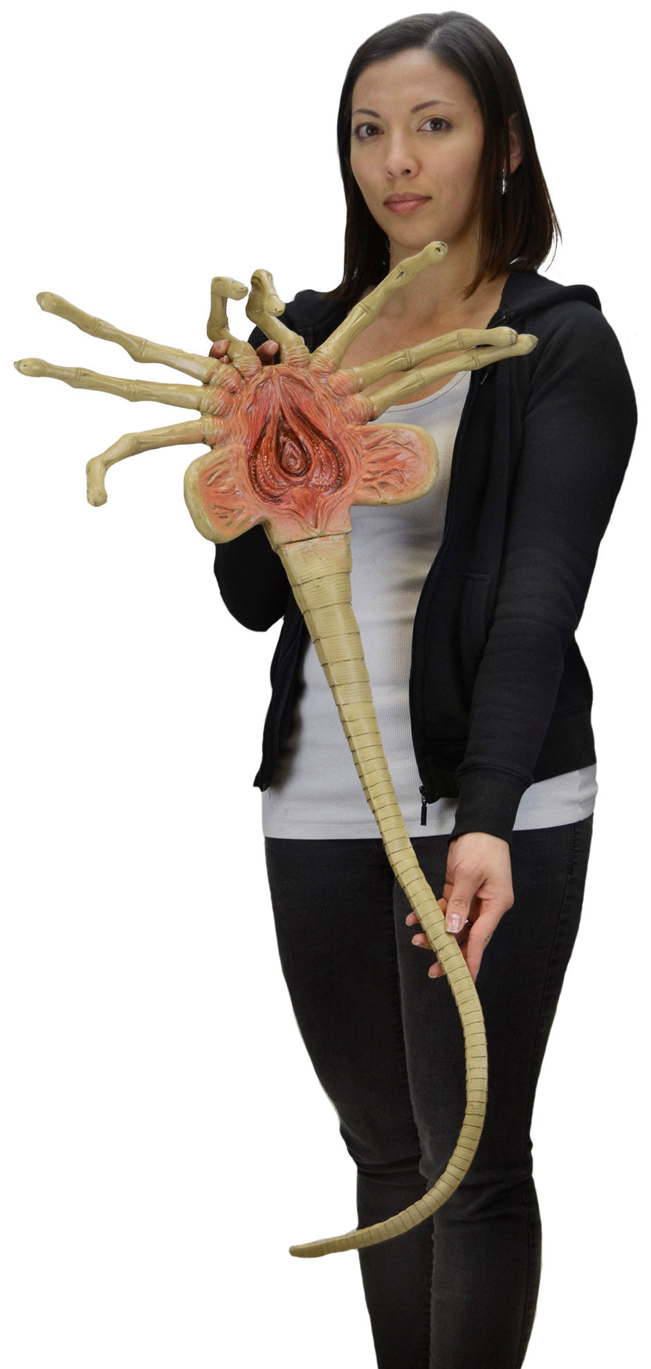 Alien: Facehugger Life Size Foam Replica – Open Gaming Store