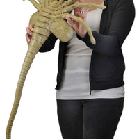 Alien: Facehugger Life Size Foam Replica