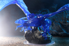 D&D: Icons of the Realms - Sapphire Dragon Premium Figure