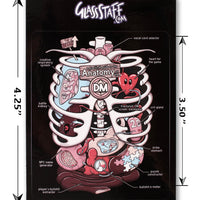 Sticker: Anatomy of the DM Waterproof Die Cut