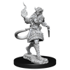 D&D: Nolzur's Marvelous Miniatures - Tiefling Sorcerer Female