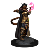 D&D: Nolzur's Marvelous Miniatures - Tiefling Sorcerer Female