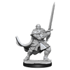 D&D: Nolzur's Marvelous Miniatures - Half-Orc Paladin Male