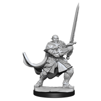 D&D: Nolzur's Marvelous Miniatures - Half-Orc Paladin Male