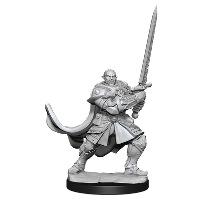 D&D: Nolzur's Marvelous Miniatures - Half-Orc Paladin Male