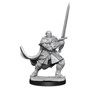 D&D: Nolzur's Marvelous Miniatures - Half-Orc Paladin Male