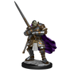 D&D: Nolzur's Marvelous Miniatures - Half-Orc Paladin Male