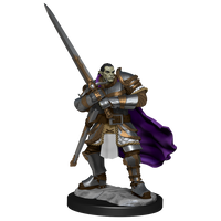 D&D: Nolzur's Marvelous Miniatures - Half-Orc Paladin Male