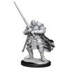 D&D: Nolzur's Marvelous Miniatures - Half-Orc Paladin Male