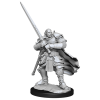 D&D: Nolzur's Marvelous Miniatures - Half-Orc Paladin Male