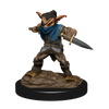 D&D: Nolzur's Marvelous Miniatures - Male Goblin Rogue & Female Goblin Bard