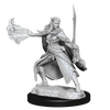 D&D: Nolzur's Marvelous Miniatures - Winter Eladrin & Spring Eladrin