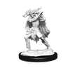 D&D: Nolzur's Marvelous Miniatures - Winter Eladrin & Spring Eladrin