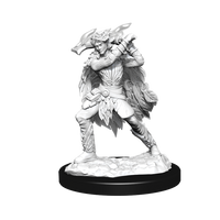 D&D: Nolzur's Marvelous Miniatures - Winter Eladrin & Spring Eladrin