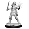 Magic: the Gathering - Unpainted Miniatures - Rowan Kenrith & Will Kenrith