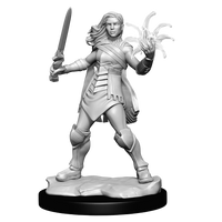 Magic: the Gathering - Unpainted Miniatures - Rowan Kenrith & Will Kenrith