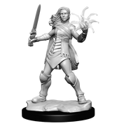 Magic: the Gathering - Unpainted Miniatures - Rowan Kenrith & Will Kenrith