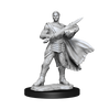 Magic: the Gathering - Unpainted Miniatures - Rowan Kenrith & Will Kenrith