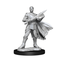 Magic: the Gathering - Unpainted Miniatures - Rowan Kenrith & Will Kenrith