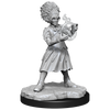 Magic: the Gathering - Unpainted Miniatures - Rootha & Zimone