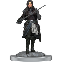 D&D: Nolzur's Marvelous Miniatures - Half-Elf Rogue Female