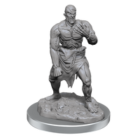 D&D: Nolzur's Marvelous Miniatures - Flesh Golems