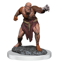 D&D: Nolzur's Marvelous Miniatures - Flesh Golems