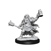 D&D: Frameworks - Dwarf Cleric Female