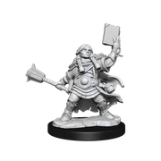 D&D: Frameworks - Dwarf Cleric Female