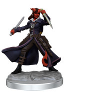 D&D: Frameworks - Tiefling Rogue Female