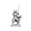 D&D: Frameworks - Dragonborn Paladin Male