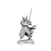 D&D: Frameworks - Dragonborn Paladin Male