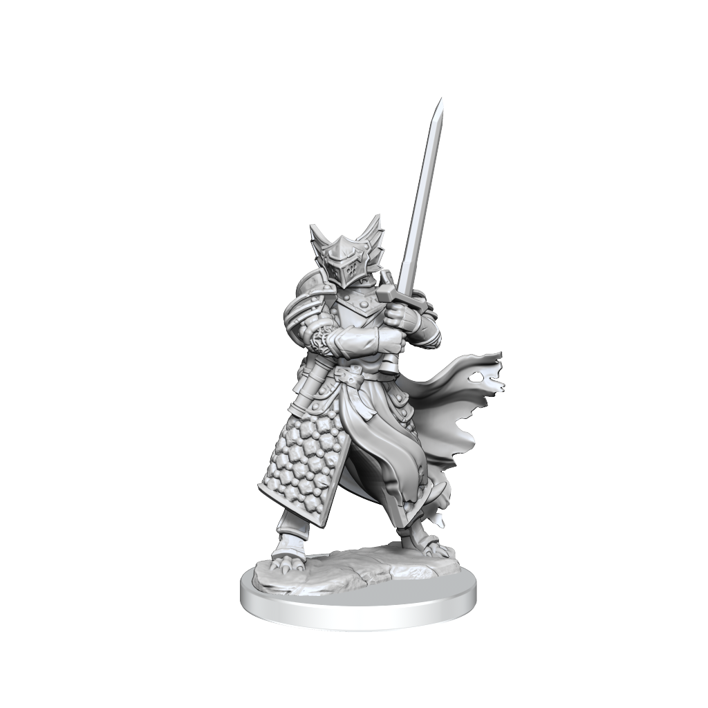 D&D: Frameworks - Dragonborn Paladin Male