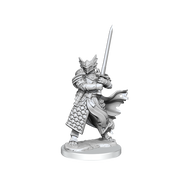 D&D: Frameworks - Dragonborn Paladin Male