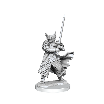 D&D: Frameworks - Dragonborn Paladin Male