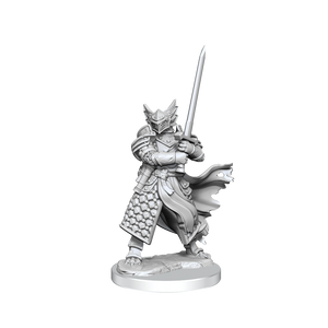 D&D: Frameworks - Dragonborn Paladin Male