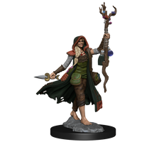 D&D: Frameworks - Human Druid Female