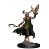 D&D: Frameworks - Human Druid Female