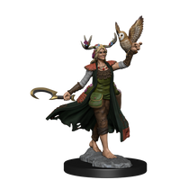 D&D: Frameworks - Human Druid Female