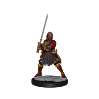 D&D: Frameworks - Human Fighter Female