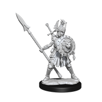 D&D: Frameworks - Human Fighter Female