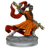 D&D: Frameworks - Elf Monk Male